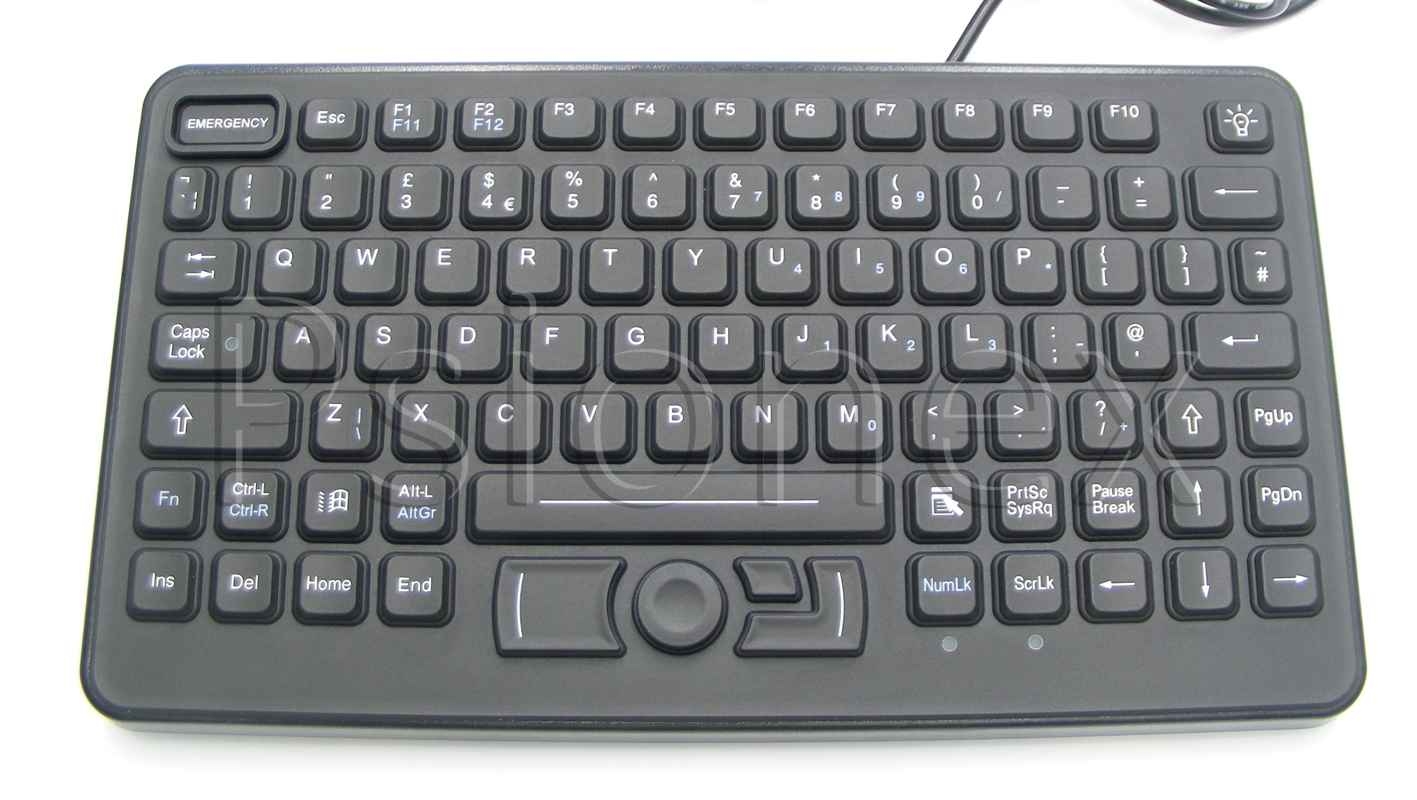 Zebra Cradles & Keyboards